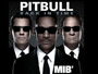 Pitbull - Back In Time [Audio]